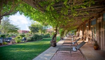 A tranquil patio area with lounge chairs under a pergola with lush greenery, overlooking a beautifully landscaped garden with trees and bushes.