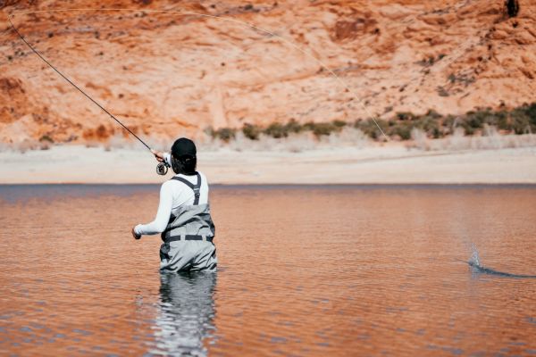 A person is fly fishing in shallow water near a desert-like, rocky shoreline. They are wearing waders and casting a fishing line.