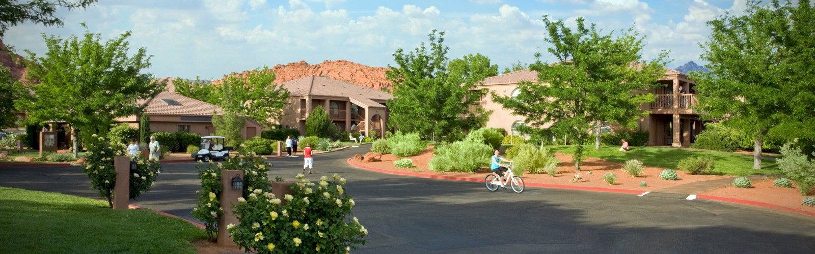 A sunny suburban neighborhood with neatly landscaped lawns, trees, and flowers. There are people walking and a person riding a bicycle.