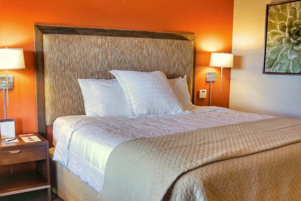 A neatly made bed with white and beige bedding in a room with orange walls, bedside tables, lamps, and a green artwork.