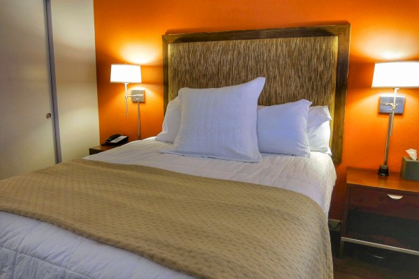 A cozy bedroom featuring a bed with white pillows, beige blanket, orange wall, twin lamps, and bedside tables is shown.